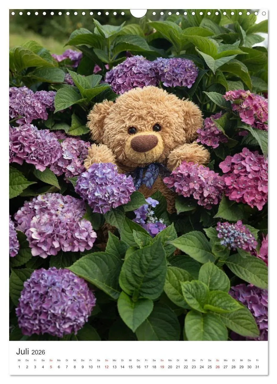 Bild: 9783516713619 | Travelling Teddy liebt Blumen und Blüten (Wandkalender 2026 DIN A3...