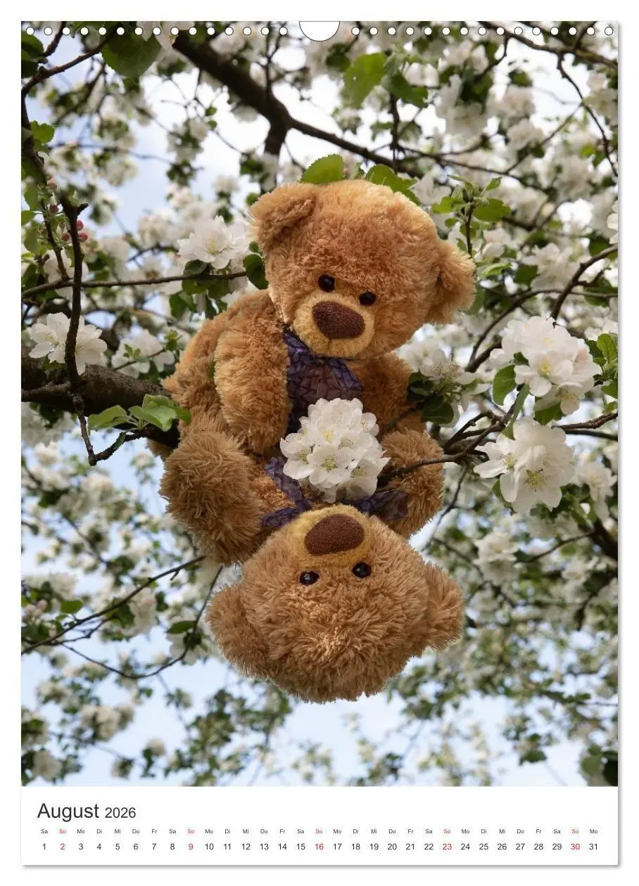 Bild: 9783516713619 | Travelling Teddy liebt Blumen und Blüten (Wandkalender 2026 DIN A3...
