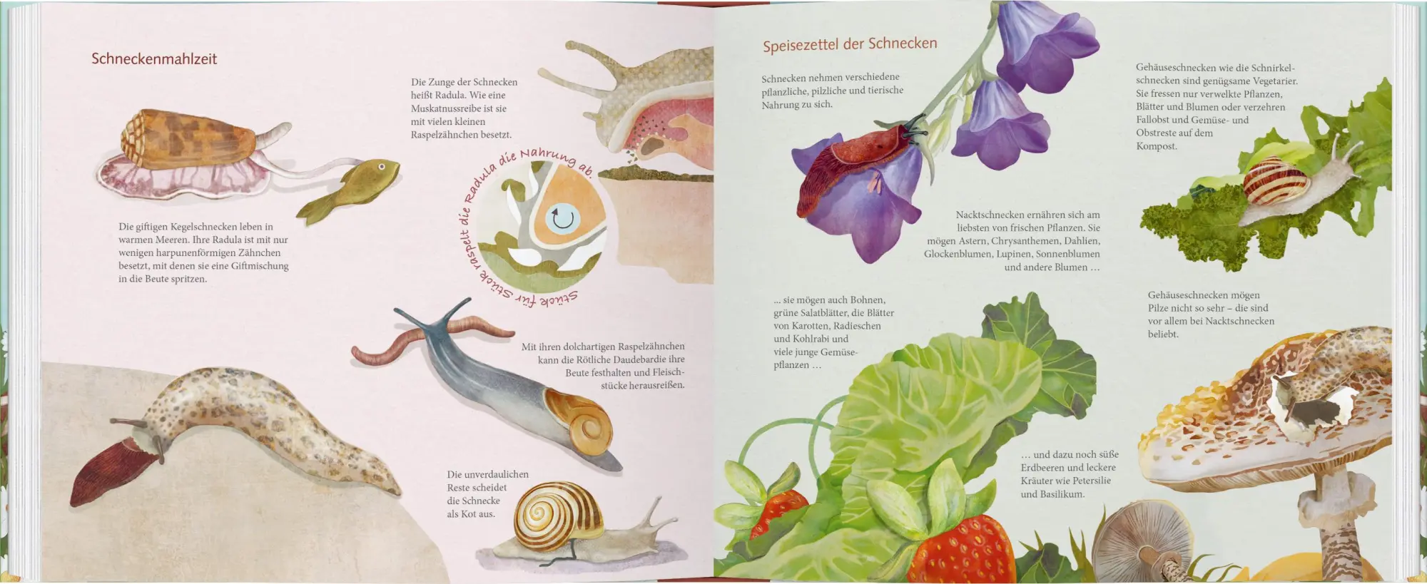 Bild: 9783836963619 | Schau mal, eine Schnecke! | Bärbel Oftring | Buch | 56 S. | Deutsch