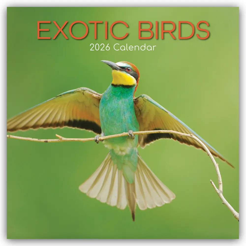 Cover: 9781836223719 | Exotic Birds - Exotische Vögel 2026 - 16-Monatskalender | Ltd | 14 S.