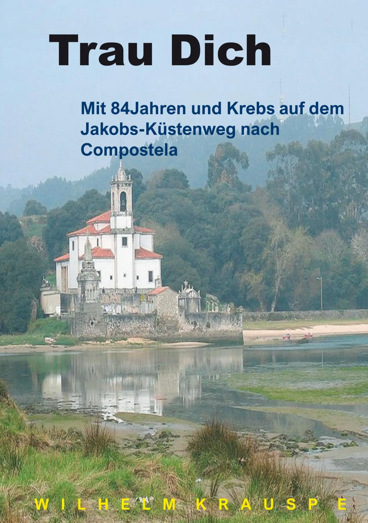 Cover: 9783749453719 | Trau Dich | Wilhelm Krauspe | Taschenbuch | 76 S. | Deutsch | 2019