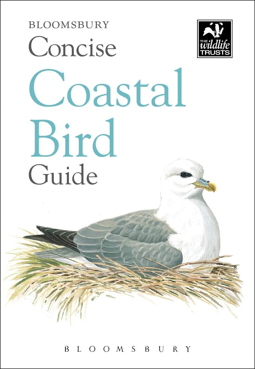 Cover: 9781472963819 | Concise Coastal Bird Guide | Taschenbuch | Kartoniert / Broschiert
