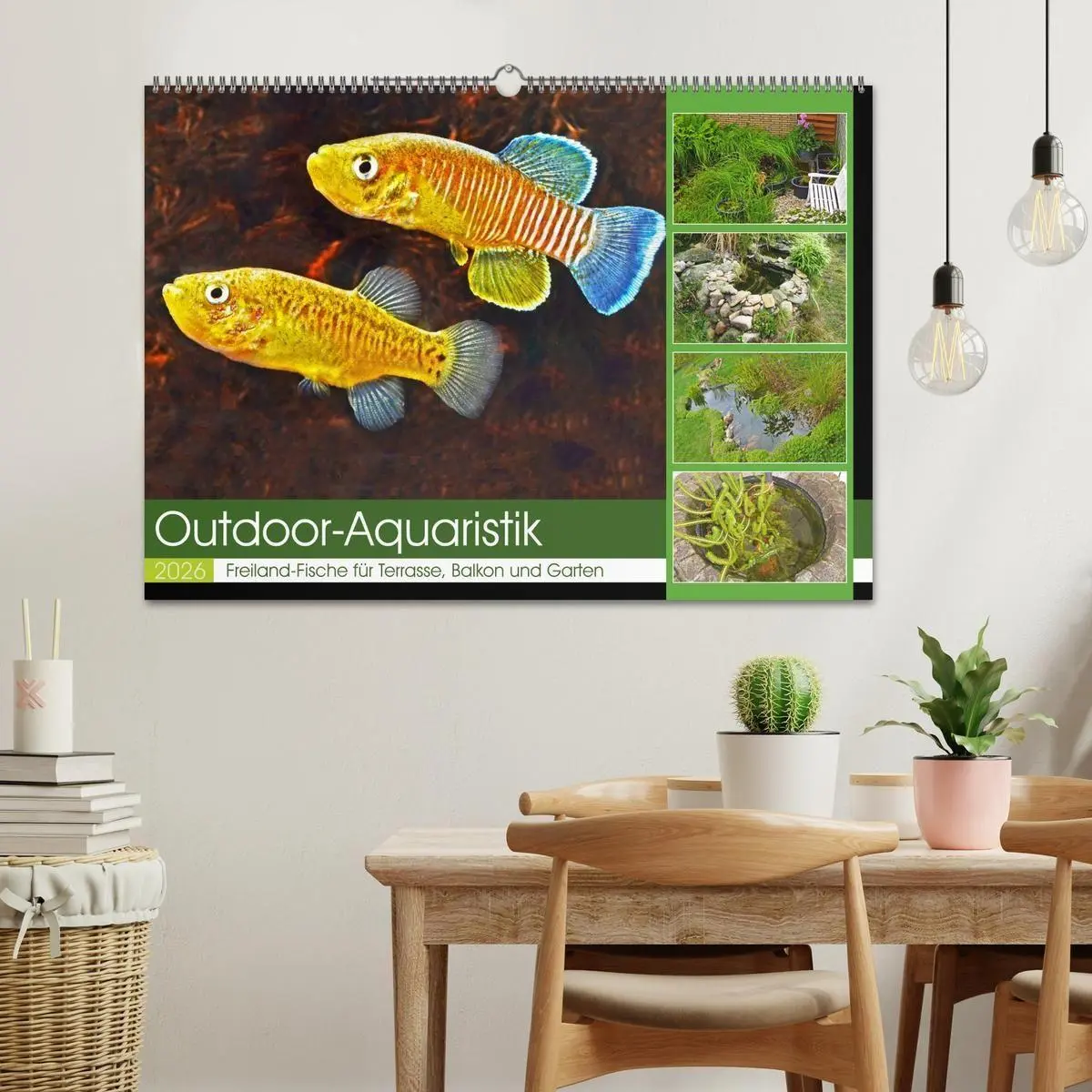 Bild: 9783457533819 | Outdoor-Aquaristik (Wandkalender 2026 DIN A2 quer), CALVENDO...