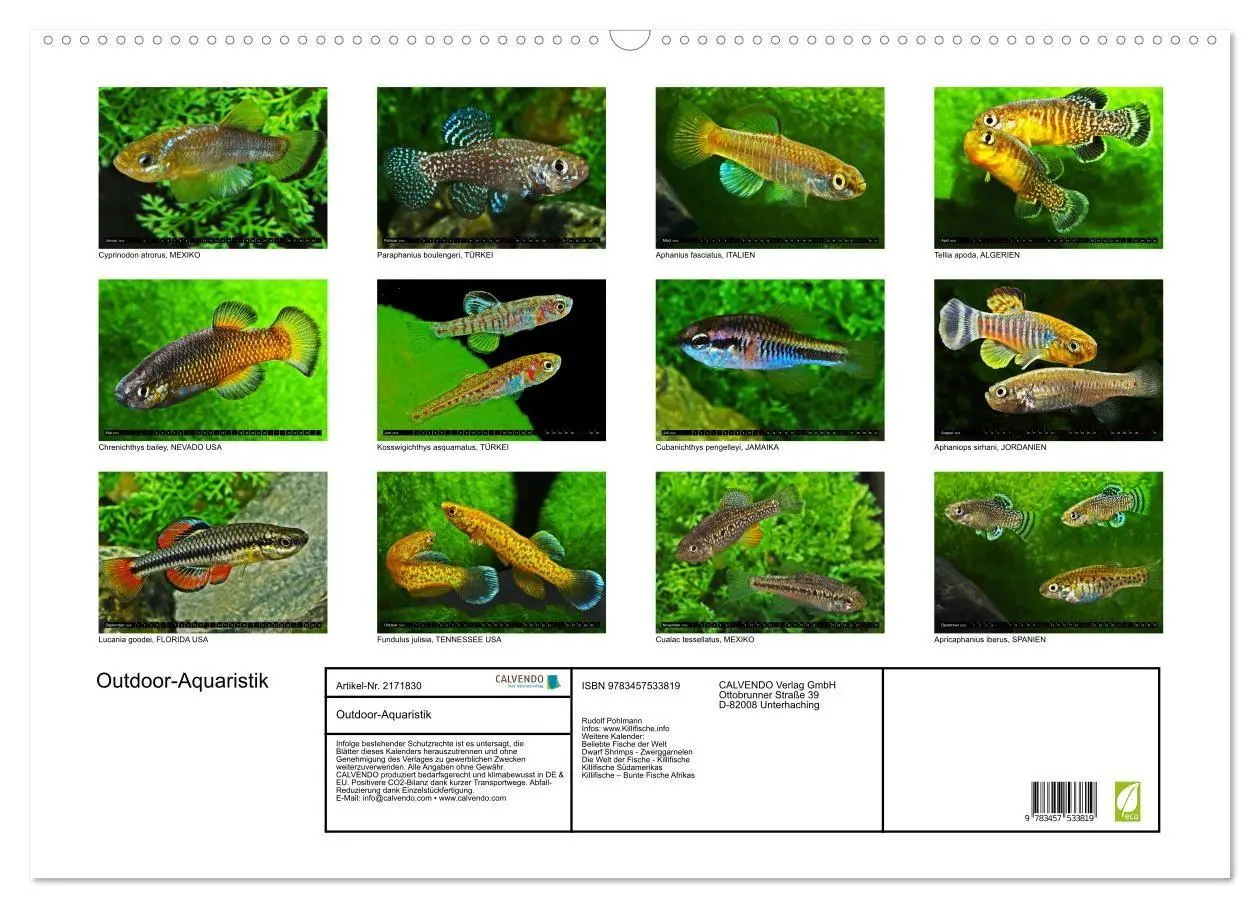 Bild: 9783457533819 | Outdoor-Aquaristik (Wandkalender 2026 DIN A2 quer), CALVENDO...