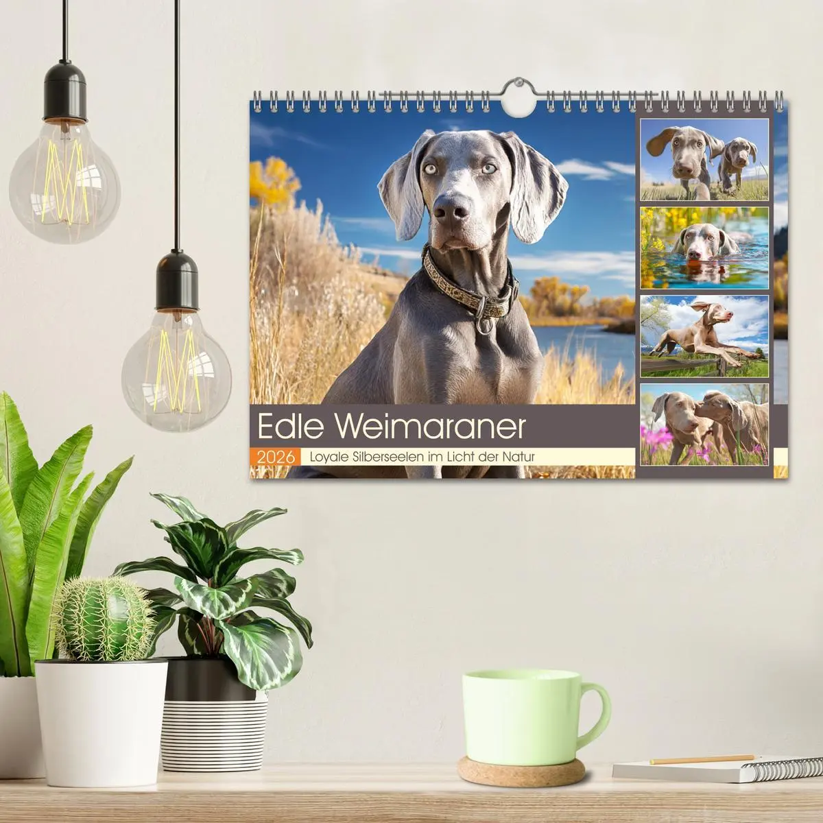 Bild: 9783457773819 | Edle Weimaraner. Loyale Silberseelen im Licht der Natur...