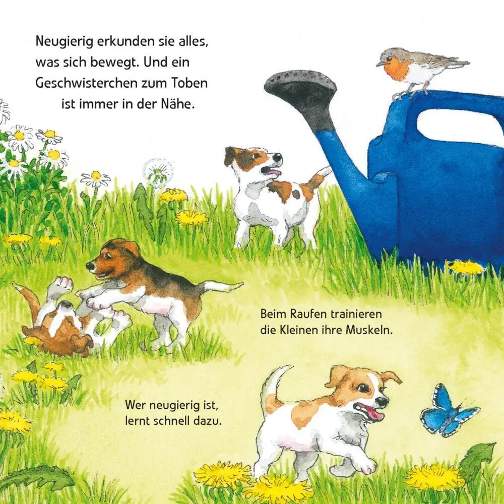 Bild: 9783551033819 | Maxi Pixi 463: Entdecke die Tierkinder | Laura Leintz | Taschenbuch