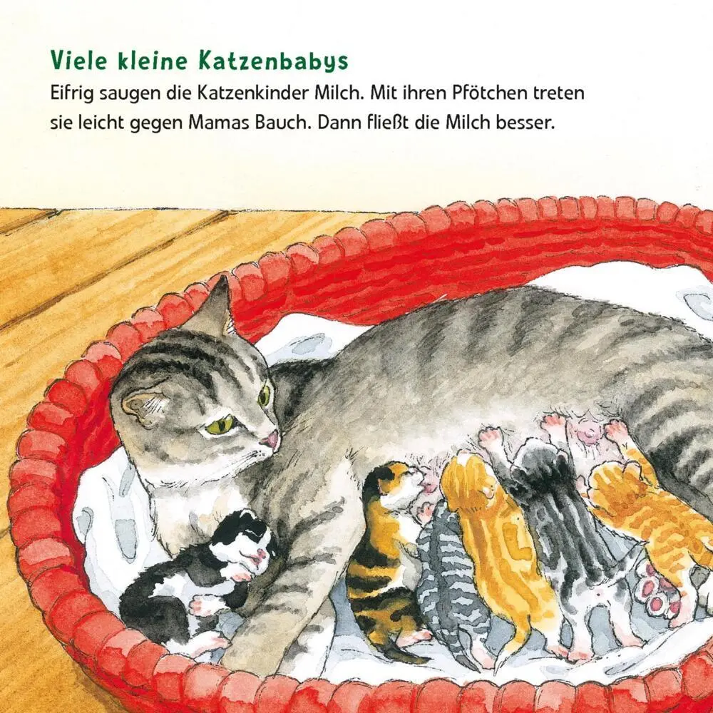 Bild: 9783551033819 | Maxi Pixi 463: Entdecke die Tierkinder | Laura Leintz | Taschenbuch