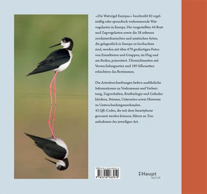 Rückseite: 9783258083919 | Die Watvögel Europas | Lars Gejl | Buch | 376 S. | Deutsch | 2024