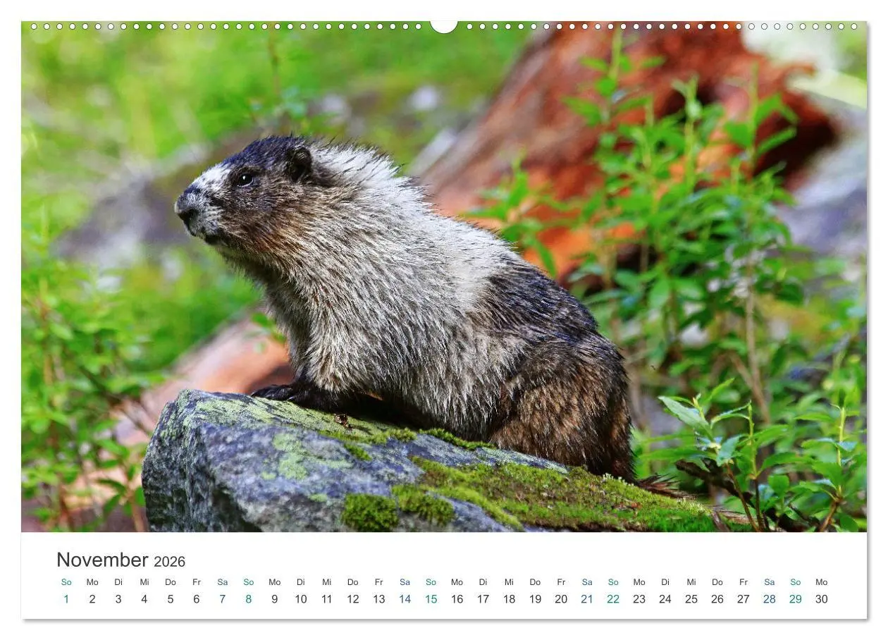 Bild: 9783457453919 | Icefields Parkway in Kanada (hochwertiger Premium Wandkalender 2026...
