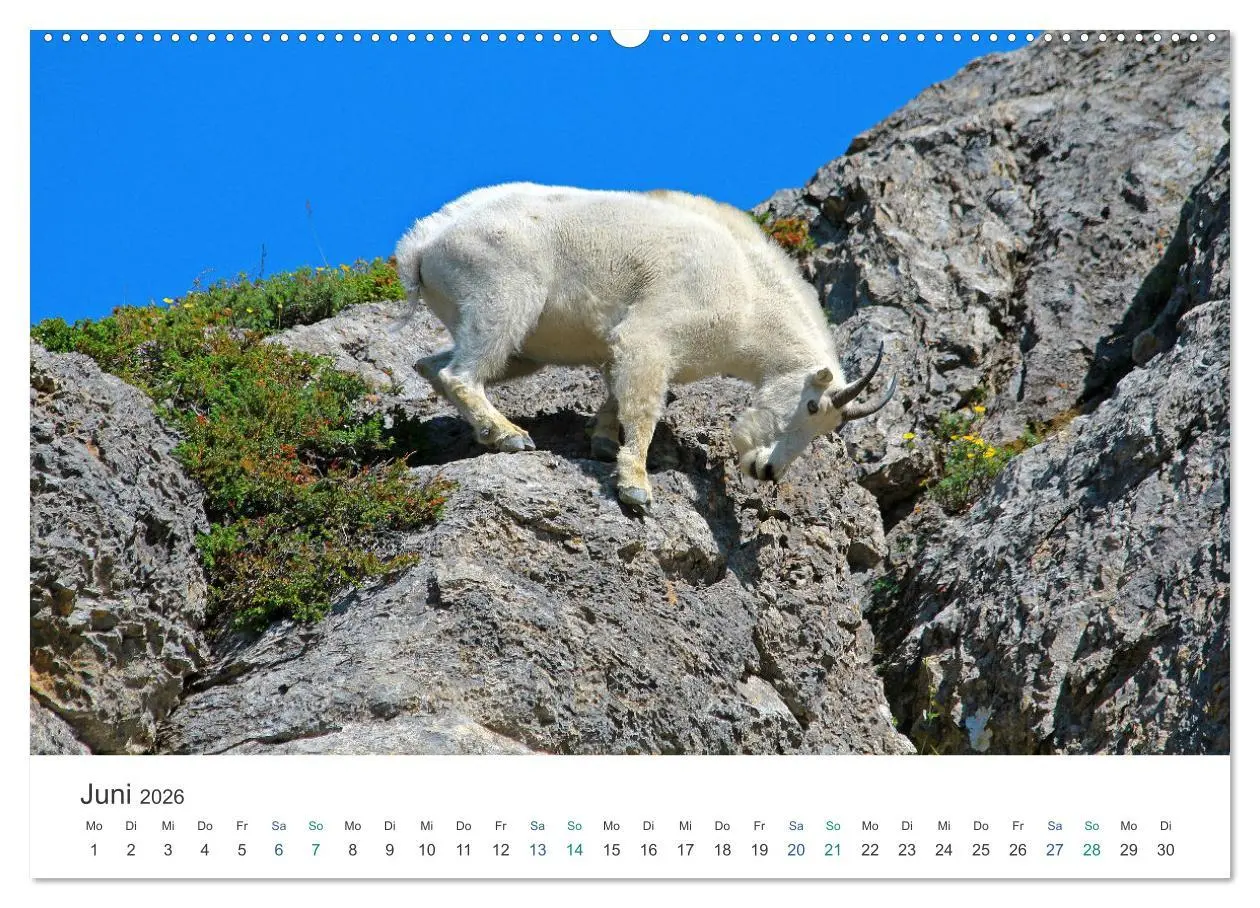 Bild: 9783457453919 | Icefields Parkway in Kanada (hochwertiger Premium Wandkalender 2026...