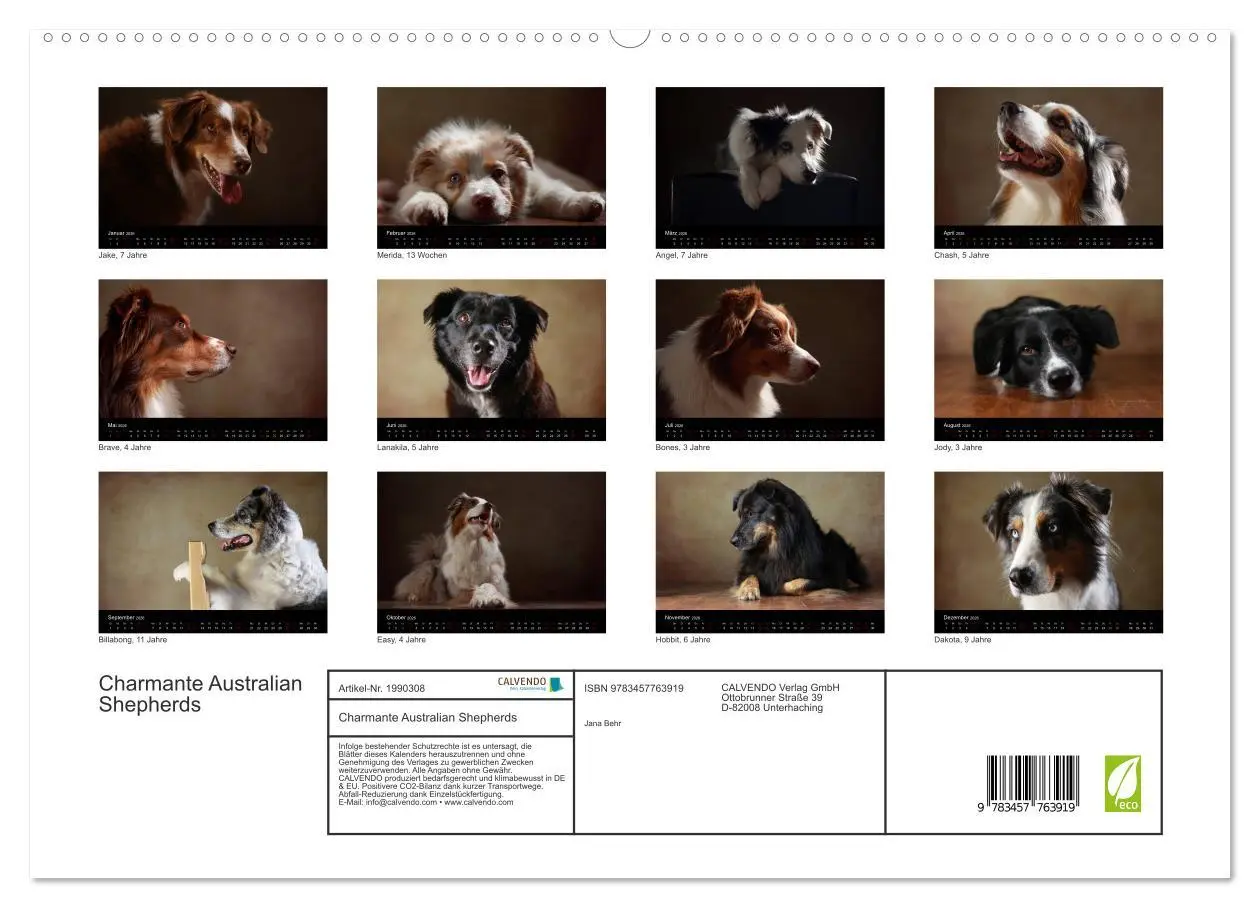 Bild: 9783457763919 | Charmante Australian Shepherds (hochwertiger Premium Wandkalender...