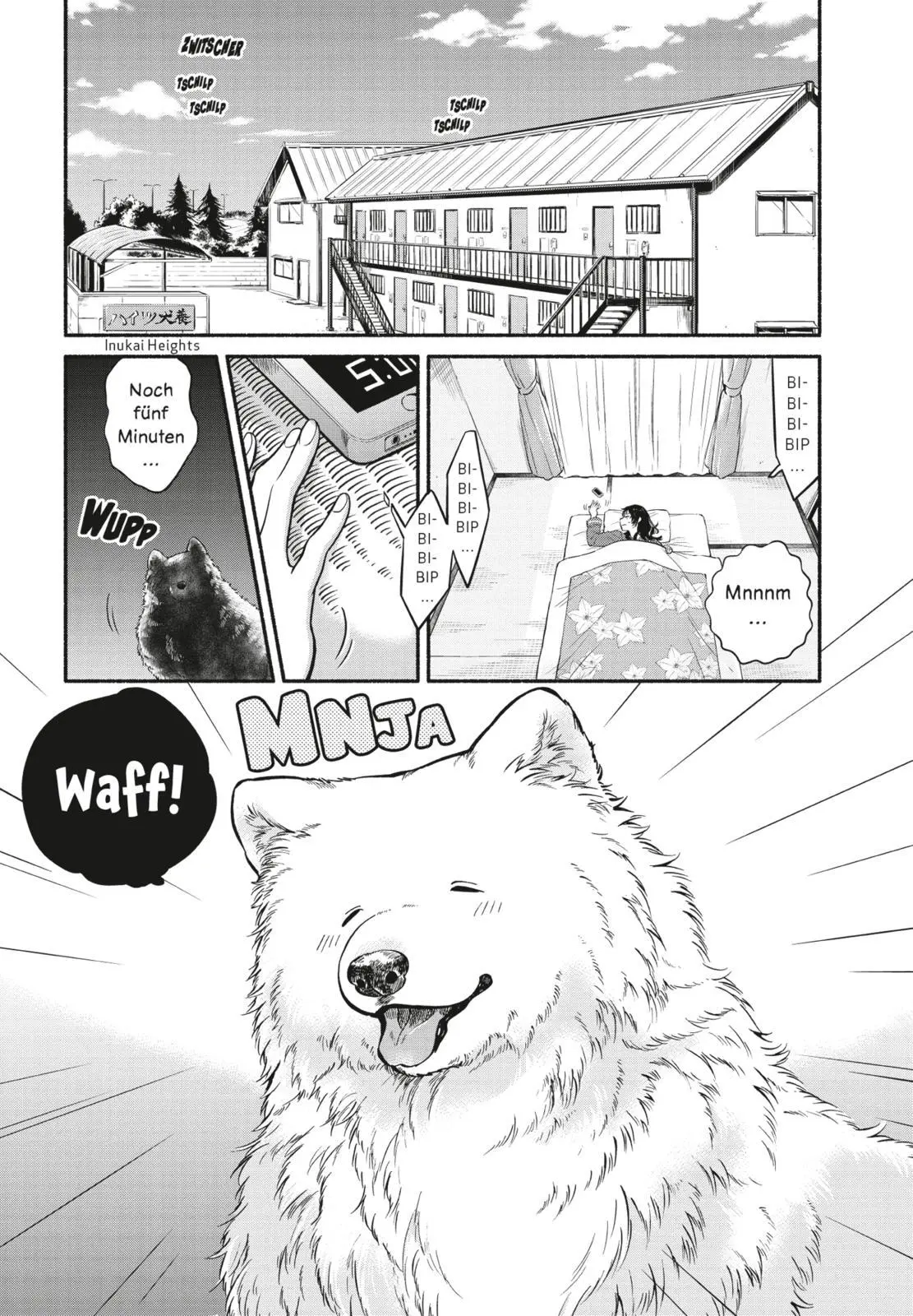 Bild: 9783551713919 | One Room Dog 1 | Sirokuma Shota | Taschenbuch | One Room Dog | 144 S.