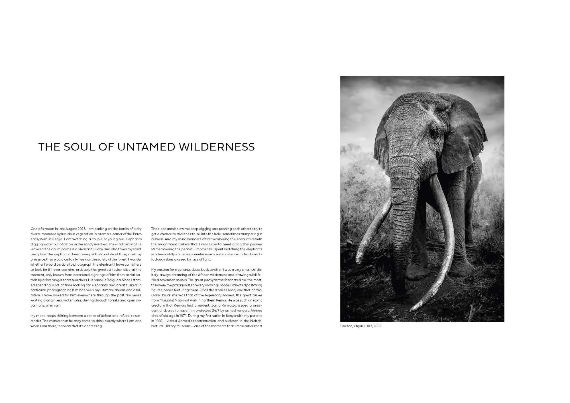 Bild: 9783791393919 | Walk the Earth | Federico Veronesi | Federico Veronesi | Buch | 192 S.