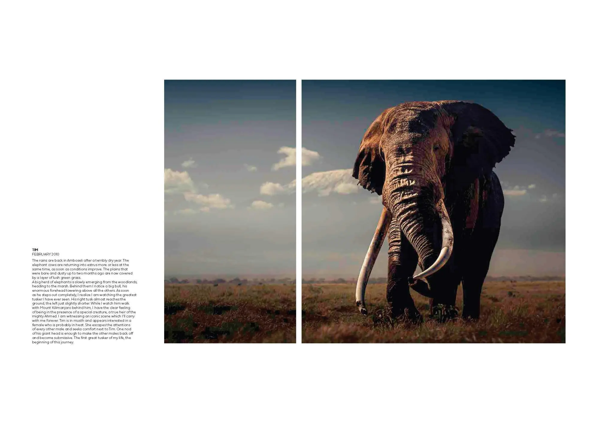 Bild: 9783791393919 | Walk the Earth | Federico Veronesi | Federico Veronesi | Buch | 192 S.