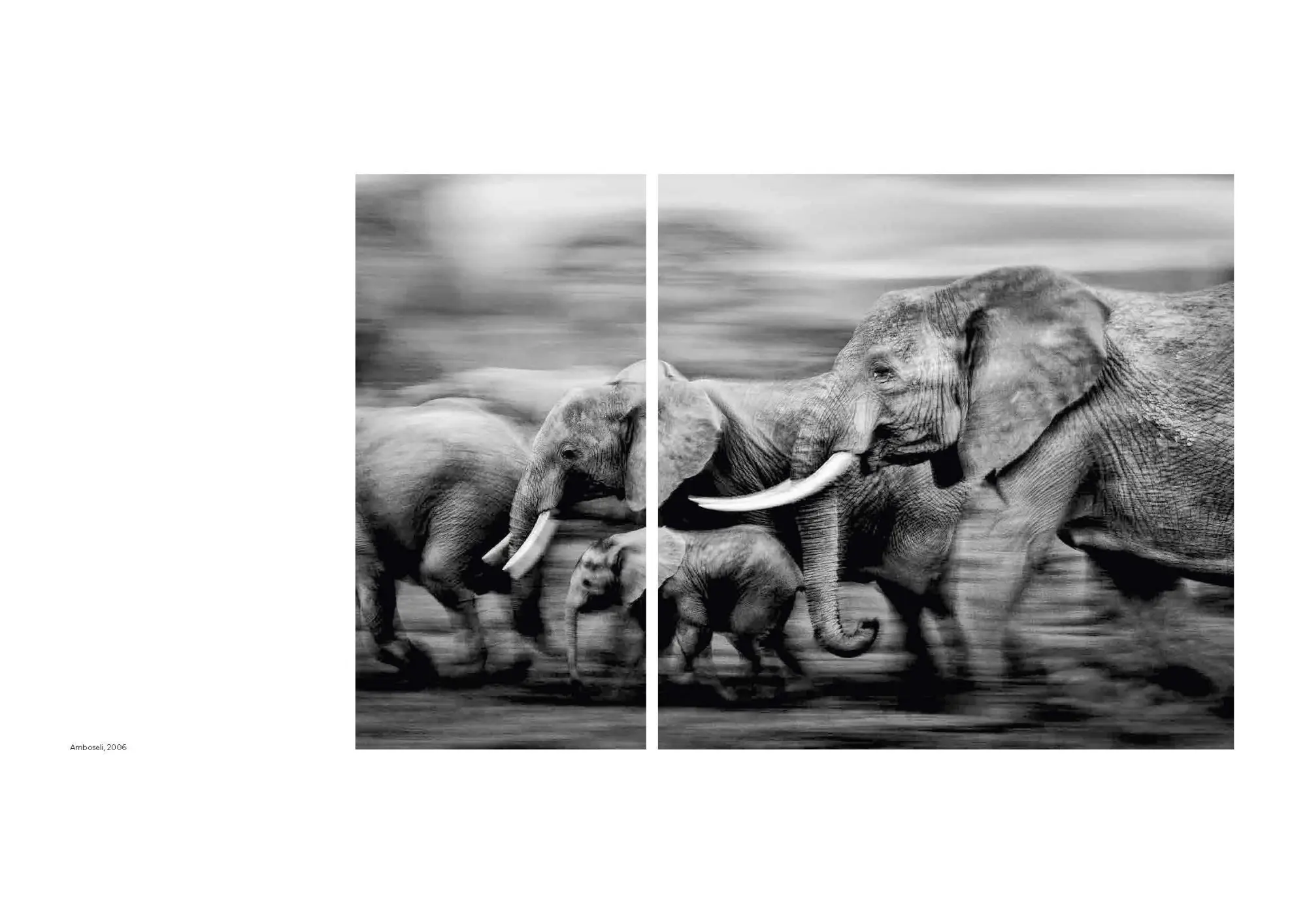 Bild: 9783791393919 | Walk the Earth | Federico Veronesi | Federico Veronesi | Buch | 192 S.