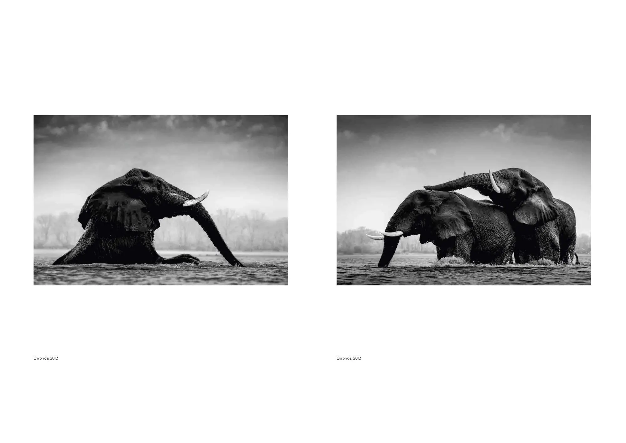 Bild: 9783791393919 | Walk the Earth | Federico Veronesi | Federico Veronesi | Buch | 192 S.