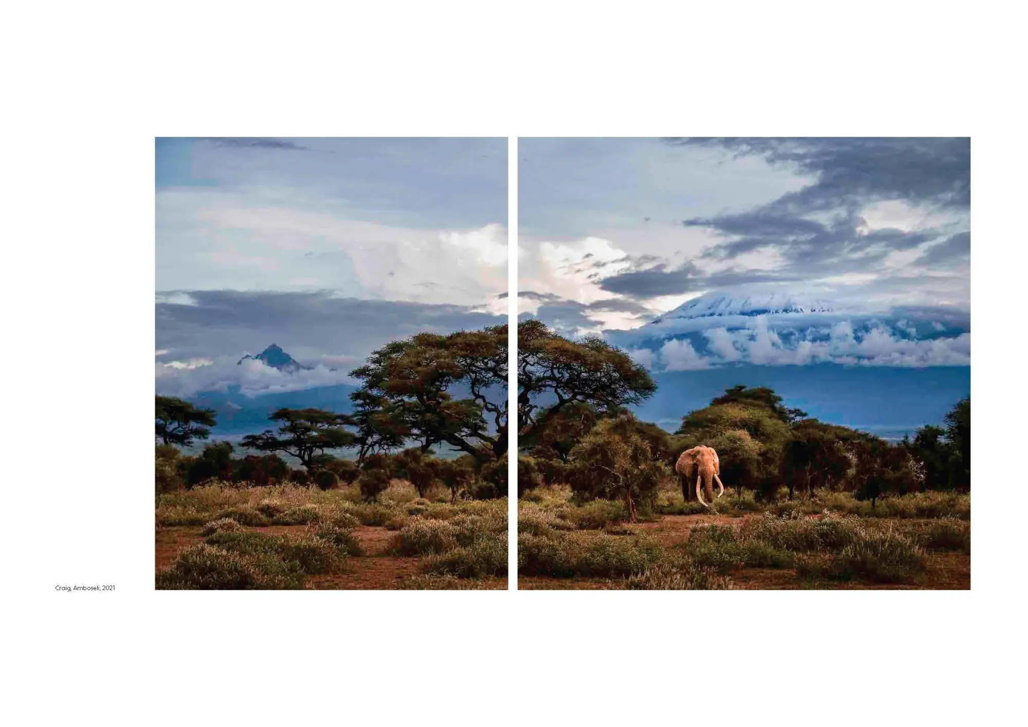 Bild: 9783791393919 | Walk the Earth | Federico Veronesi | Federico Veronesi | Buch | 192 S.