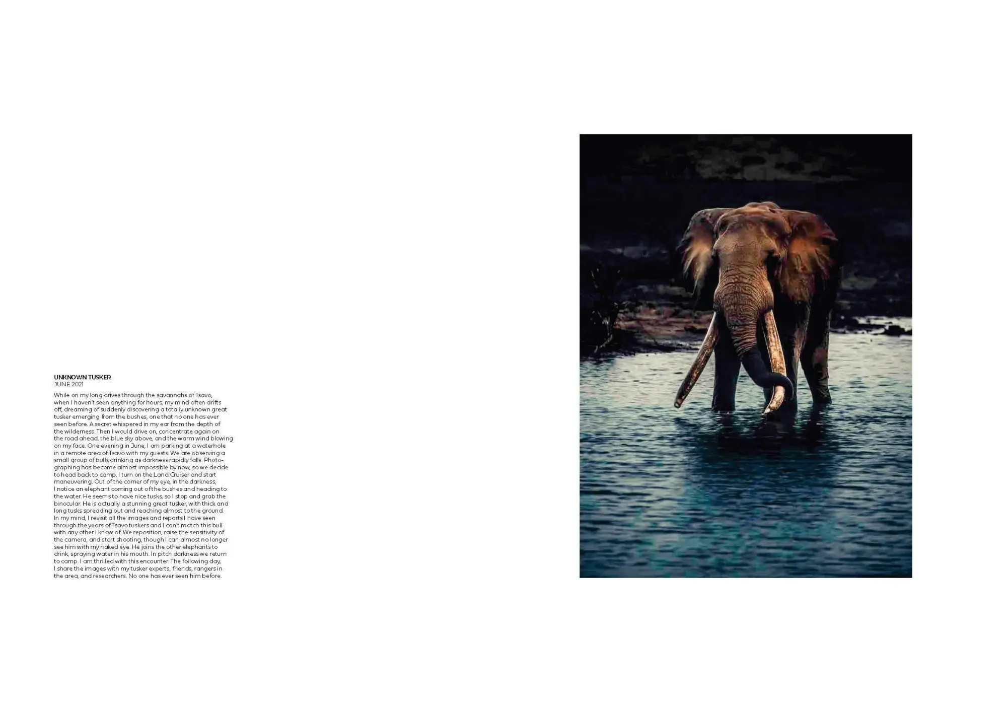 Bild: 9783791393919 | Walk the Earth | Federico Veronesi | Federico Veronesi | Buch | 192 S.