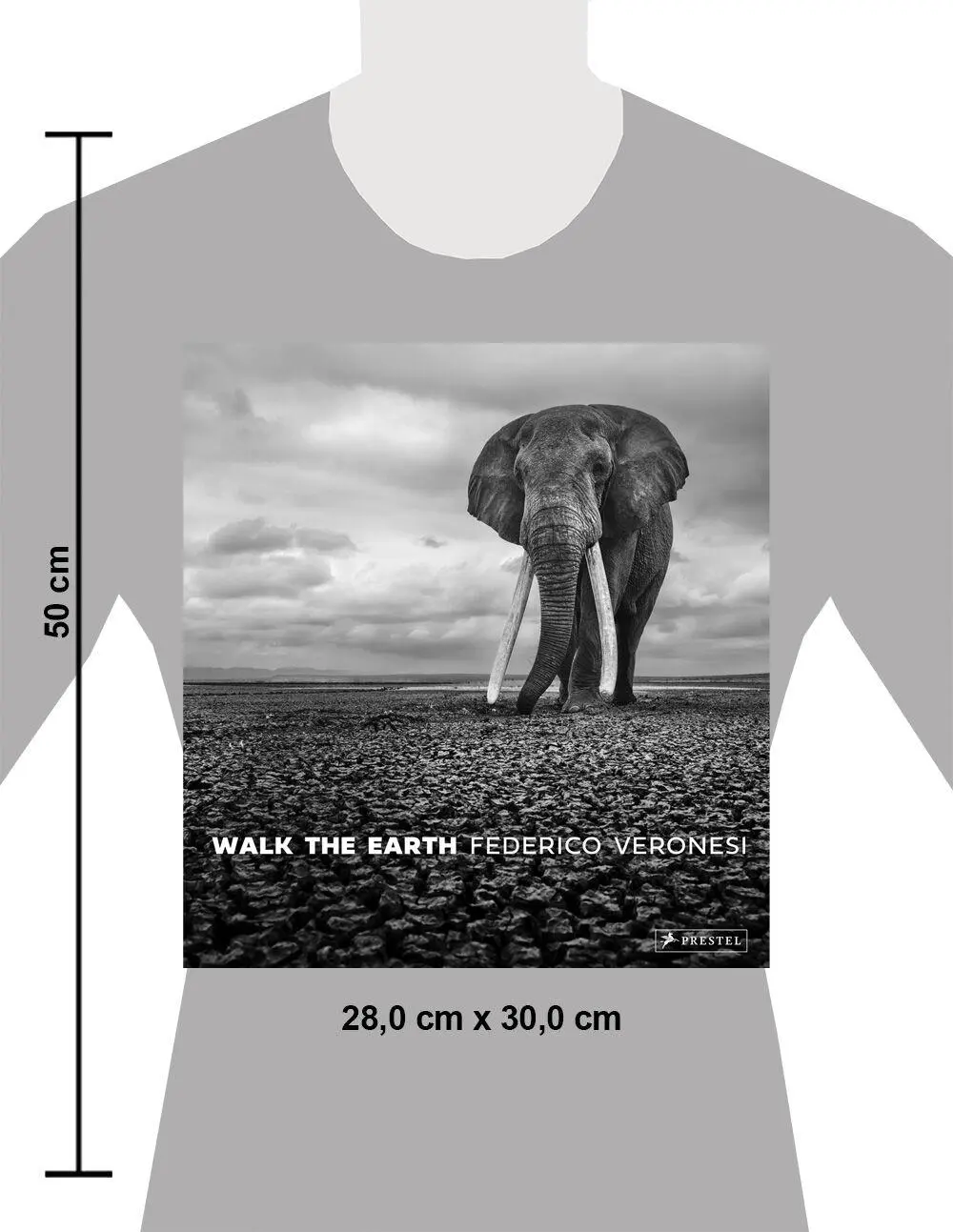 Bild: 9783791393919 | Walk the Earth | Federico Veronesi | Federico Veronesi | Buch | 192 S.