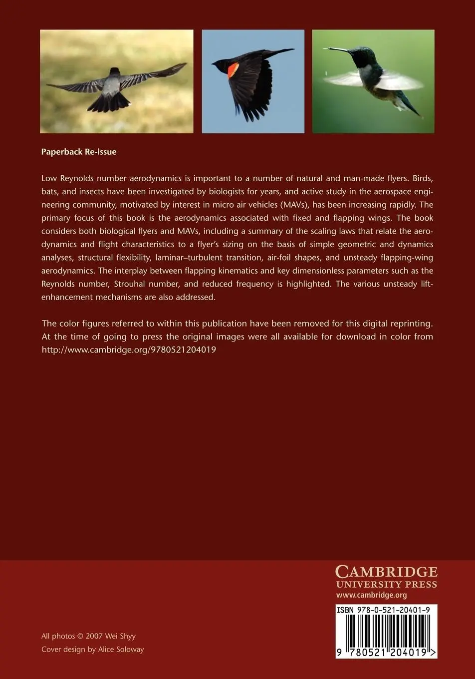 Rückseite: 9780521204019 | Aerodynamics of Low Reynolds Number Flyers | Wei Shyy (u. a.) | Buch