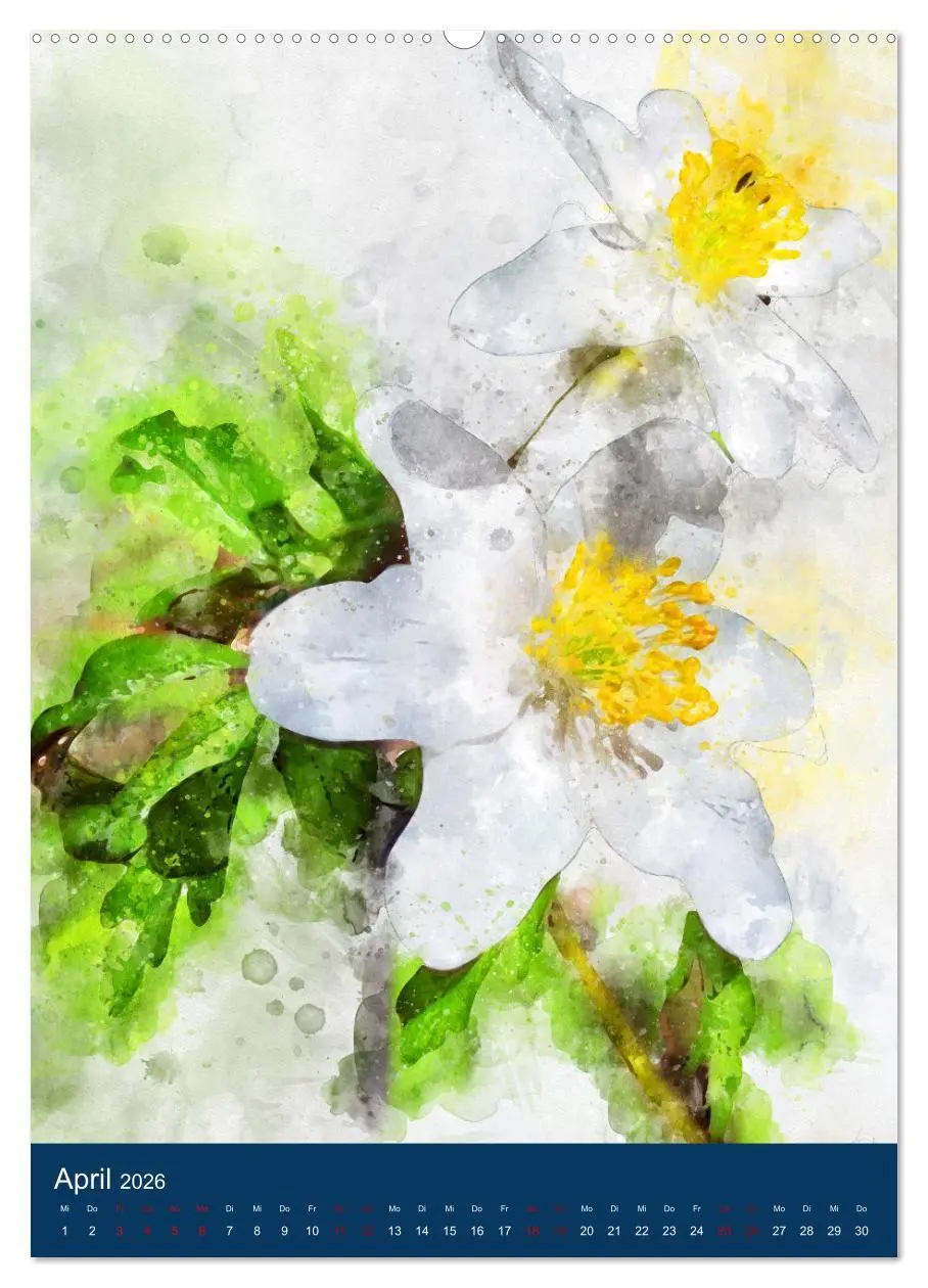 Bild: 9783516364019 | Wilde Blumen - Illustrierter Blütenzauber der Pflanzenwelt...
