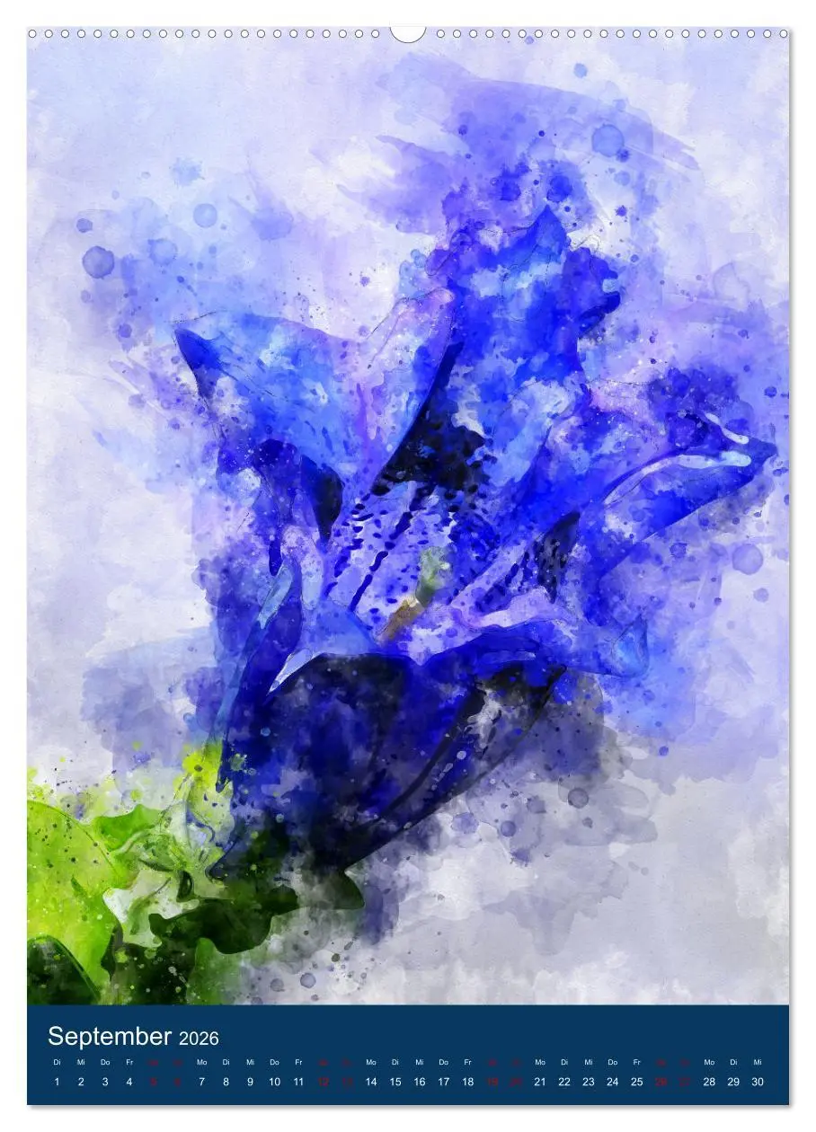 Bild: 9783516364019 | Wilde Blumen - Illustrierter Blütenzauber der Pflanzenwelt...