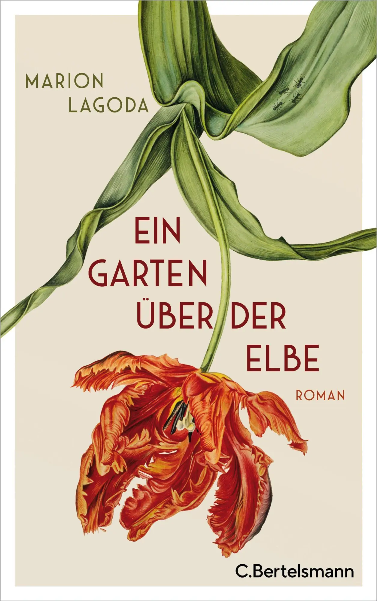 Cover: 9783570104019 | Ein Garten über der Elbe | Roman | Marion Lagoda | Buch | 384 S.