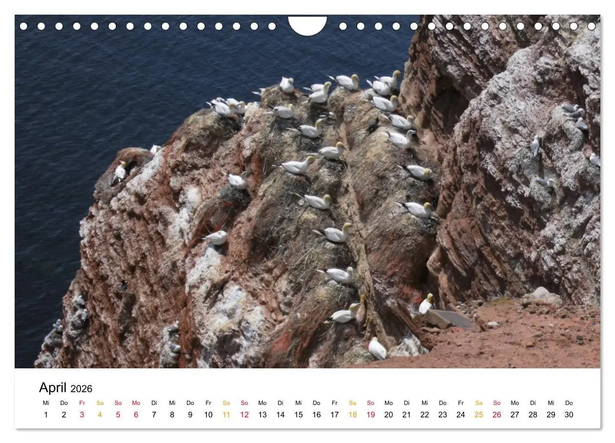 Bild: 9783457884119 | Helgoland Kalender (Wandkalender 2026 DIN A4 quer), CALVENDO...