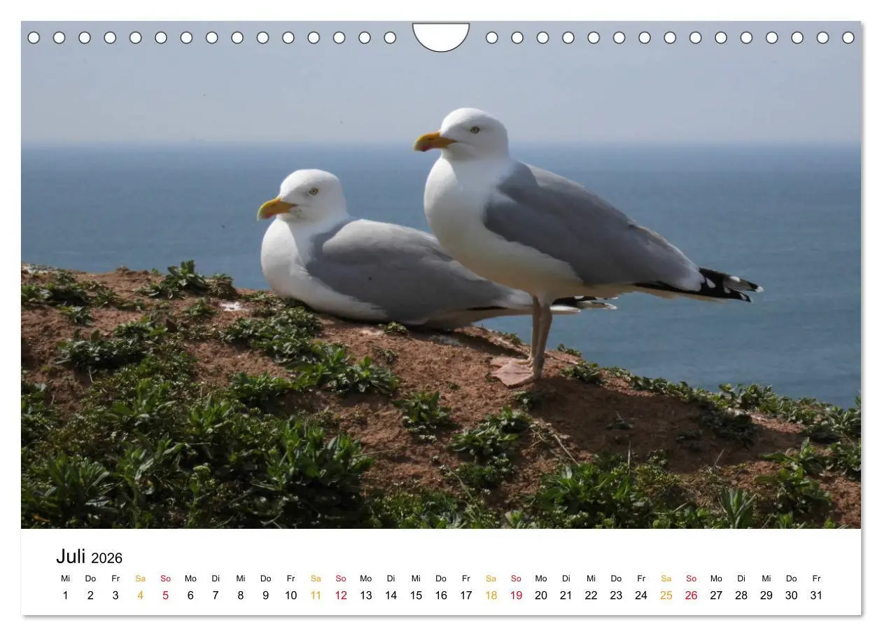 Bild: 9783457884119 | Helgoland Kalender (Wandkalender 2026 DIN A4 quer), CALVENDO...