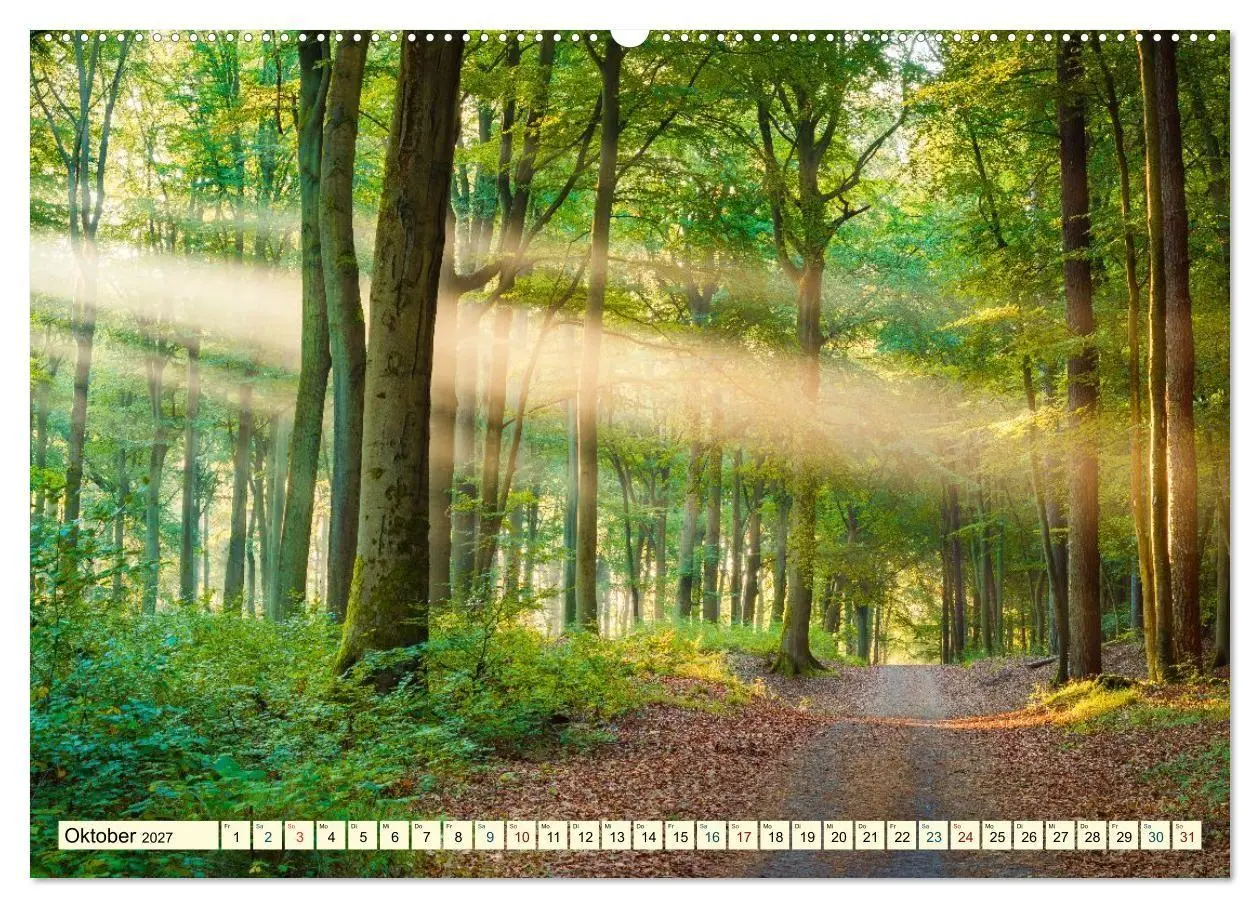 Bild: 9783594264119 | Usedom - Deutscher Inseltraum (hochwertiger Premium Wandkalender...