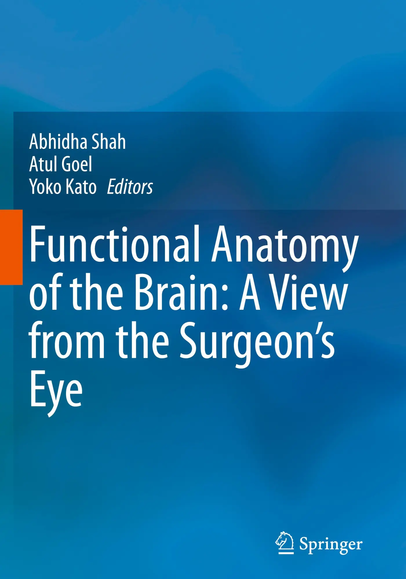 Cover: 9789819934119 | Functional Anatomy of the Brain: A View from the Surgeon's Eye | Buch