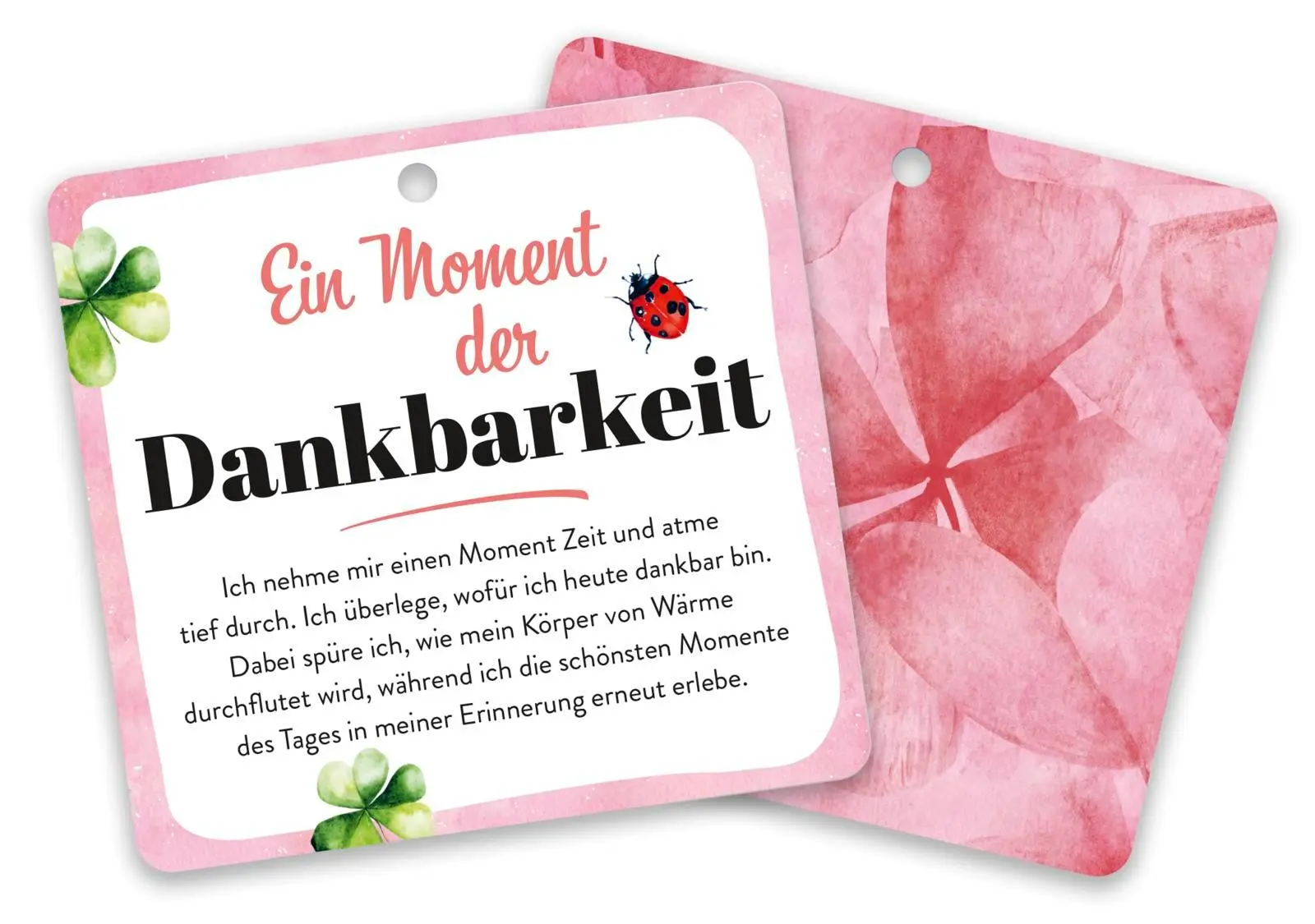 Bild: 4036442014219 | Eine Dose voller Glück | Groh Verlag | Box | 25 S. | Deutsch | 2025