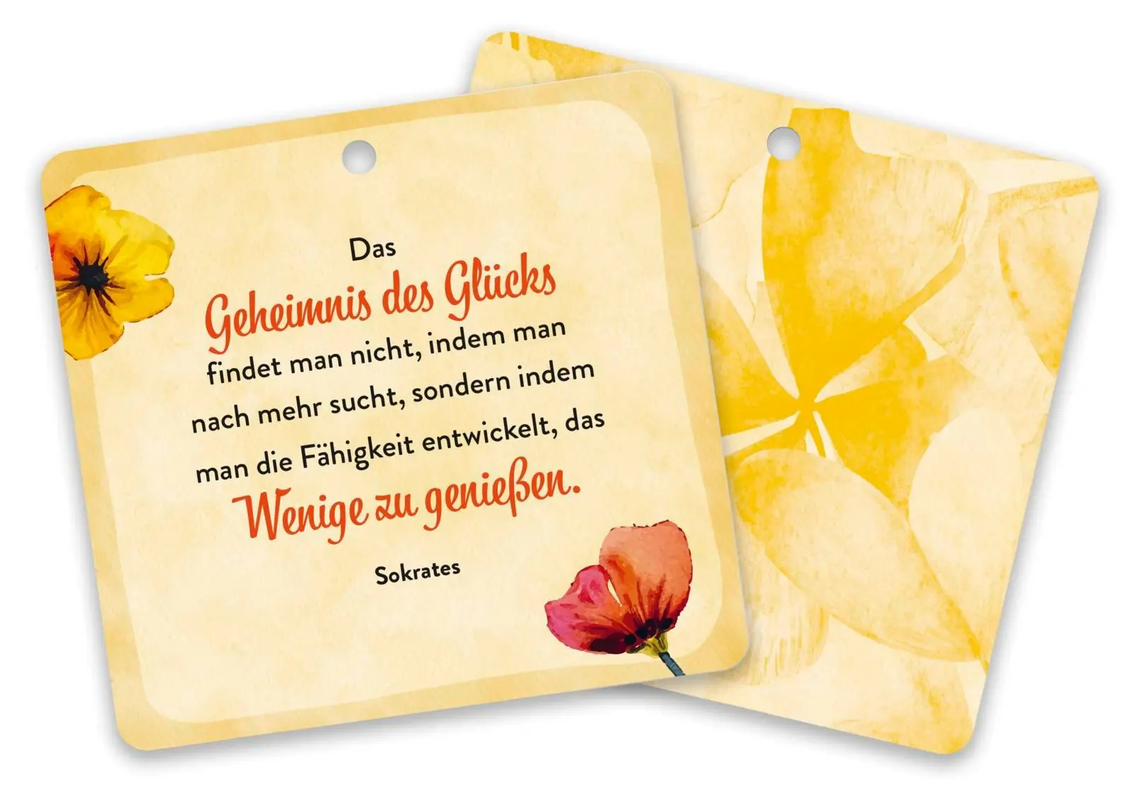 Bild: 4036442014219 | Eine Dose voller Glück | Groh Verlag | Box | 25 S. | Deutsch | 2025