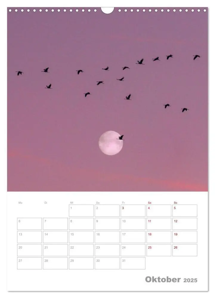Bild: 9783435924219 | VOLLMOND-Planer - Im Licht der Nacht (Wandkalender 2025 DIN A3...