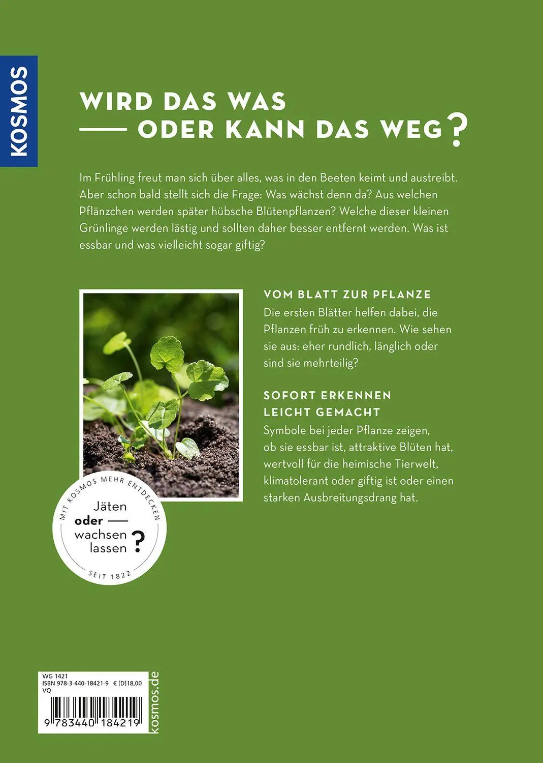 Bild: 9783440184219 | Wird das was oder kann das weg? | Bärbel Oftring | Taschenbuch | 2026
