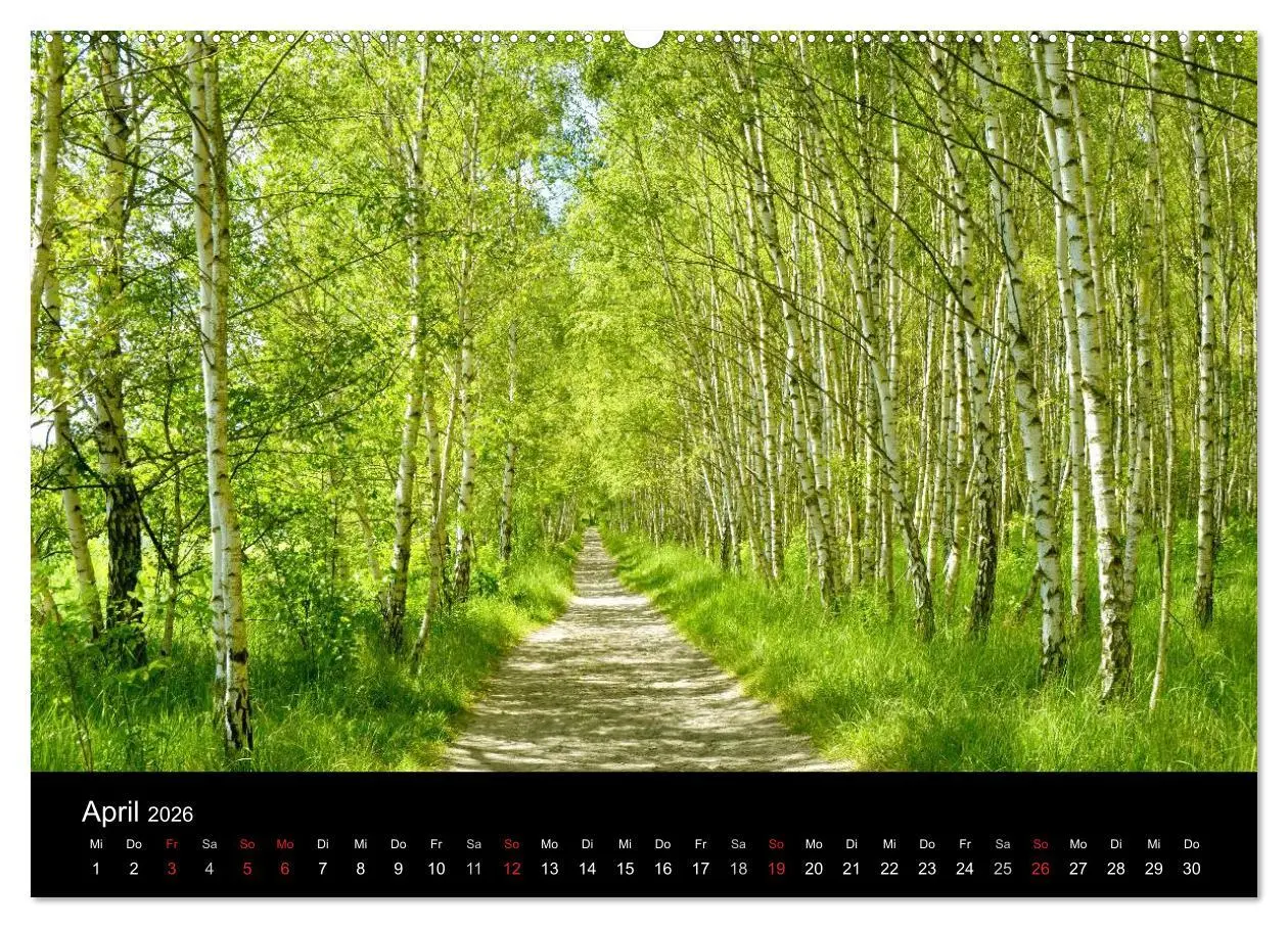 Bild: 9783516104219 | Die vier Jahreszeiten (hochwertiger Premium Wandkalender 2026 DIN...