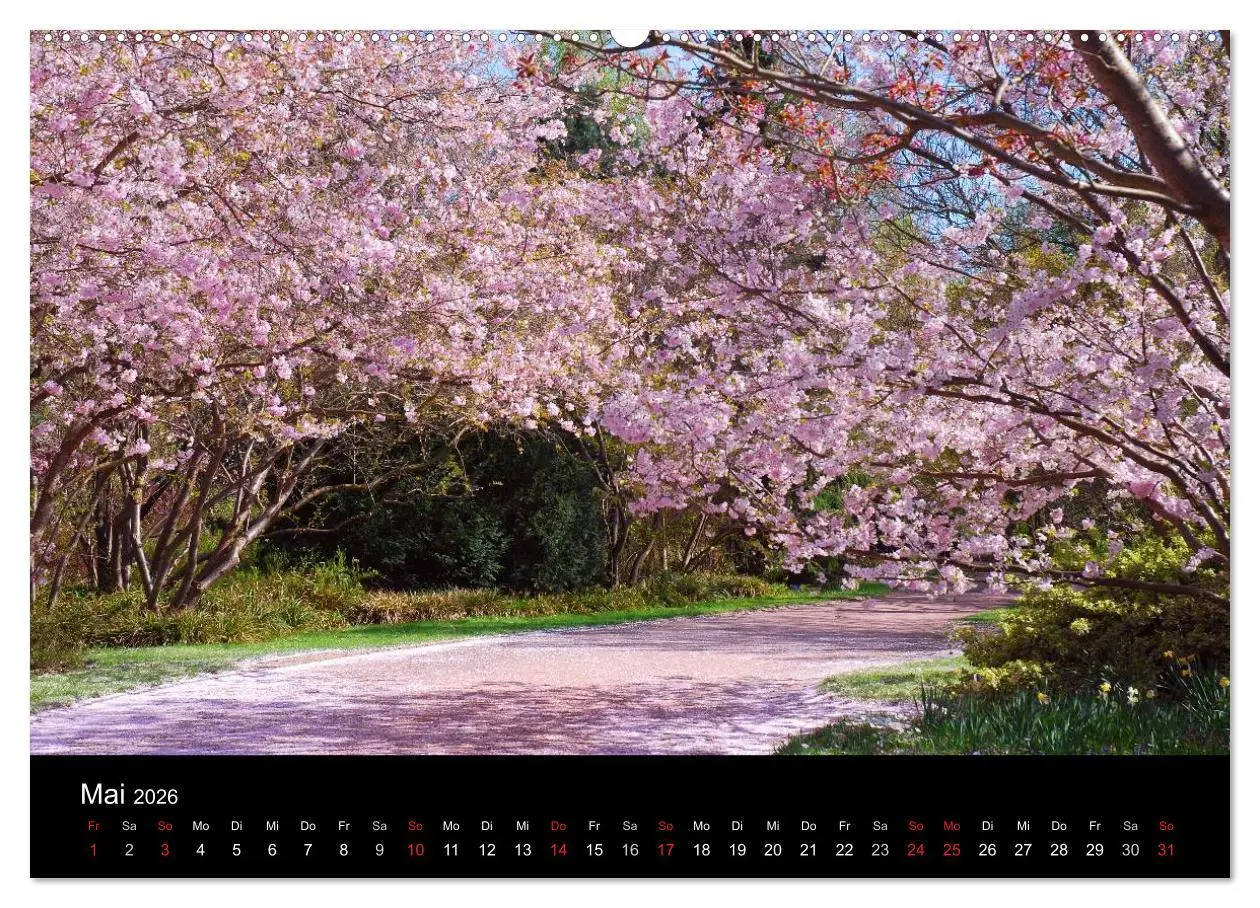 Bild: 9783516104219 | Die vier Jahreszeiten (hochwertiger Premium Wandkalender 2026 DIN...