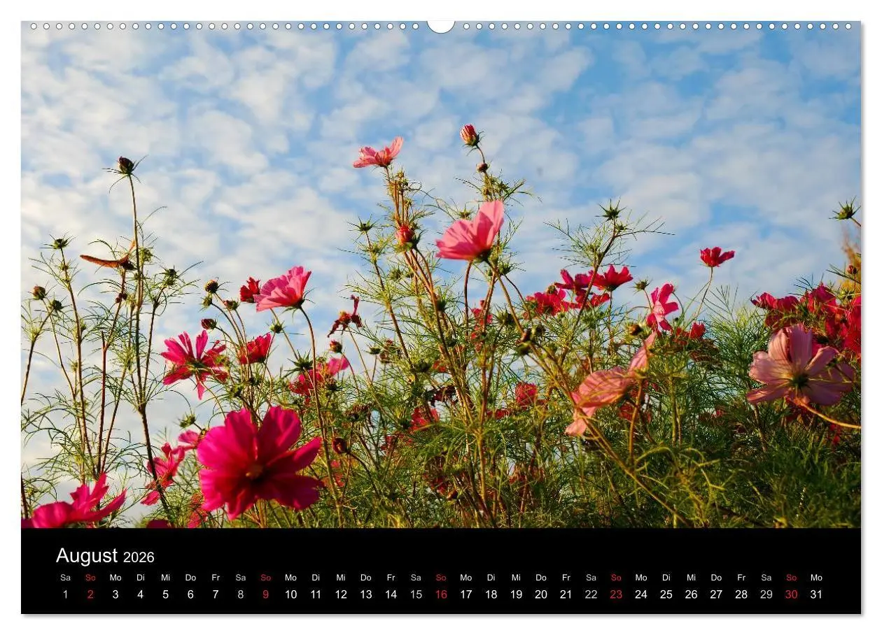 Bild: 9783516104219 | Die vier Jahreszeiten (hochwertiger Premium Wandkalender 2026 DIN...