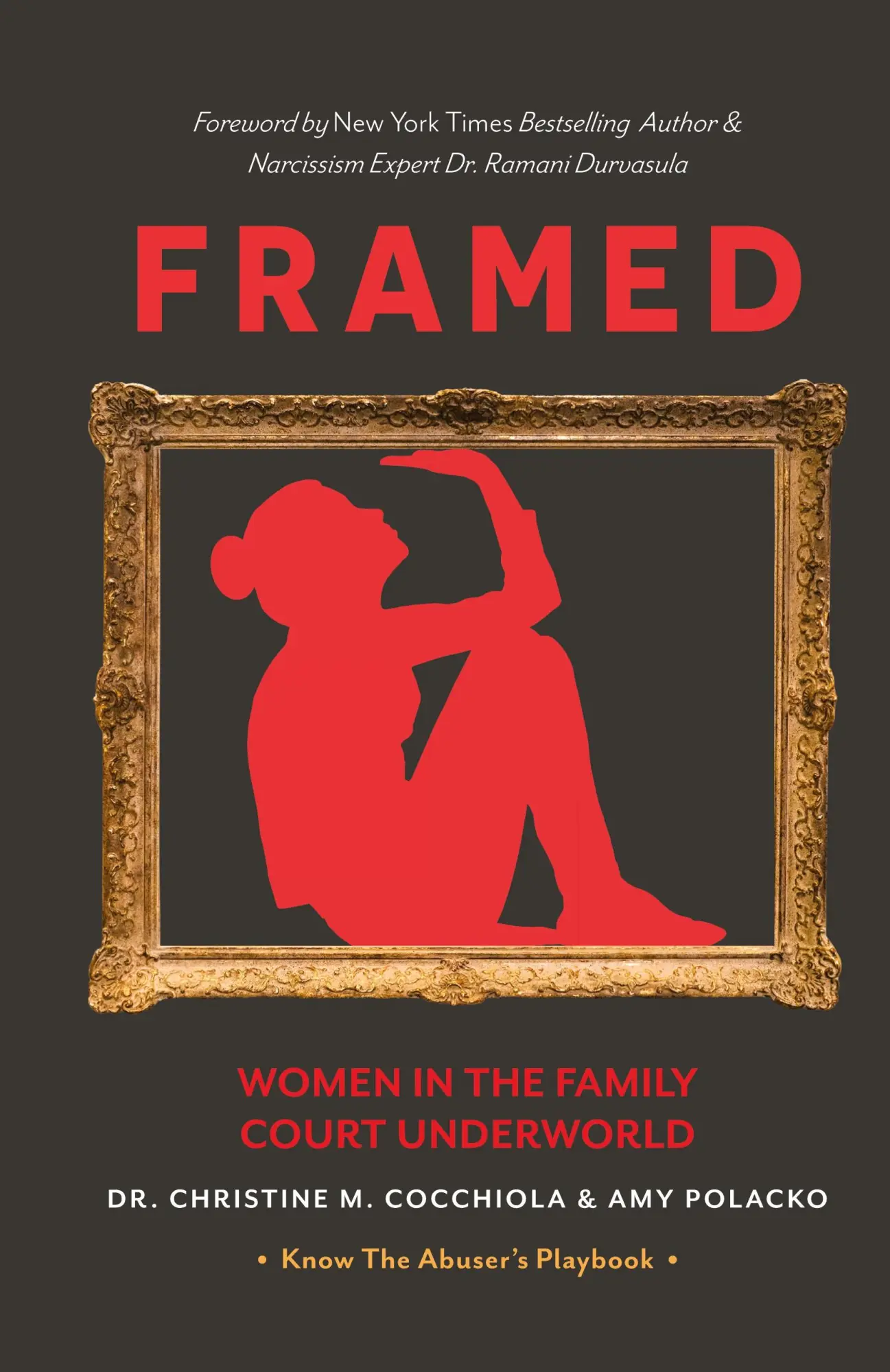 Cover: 9798990744219 | Framed | Women in the Family Court Underworld | Cocchiola (u. a.)