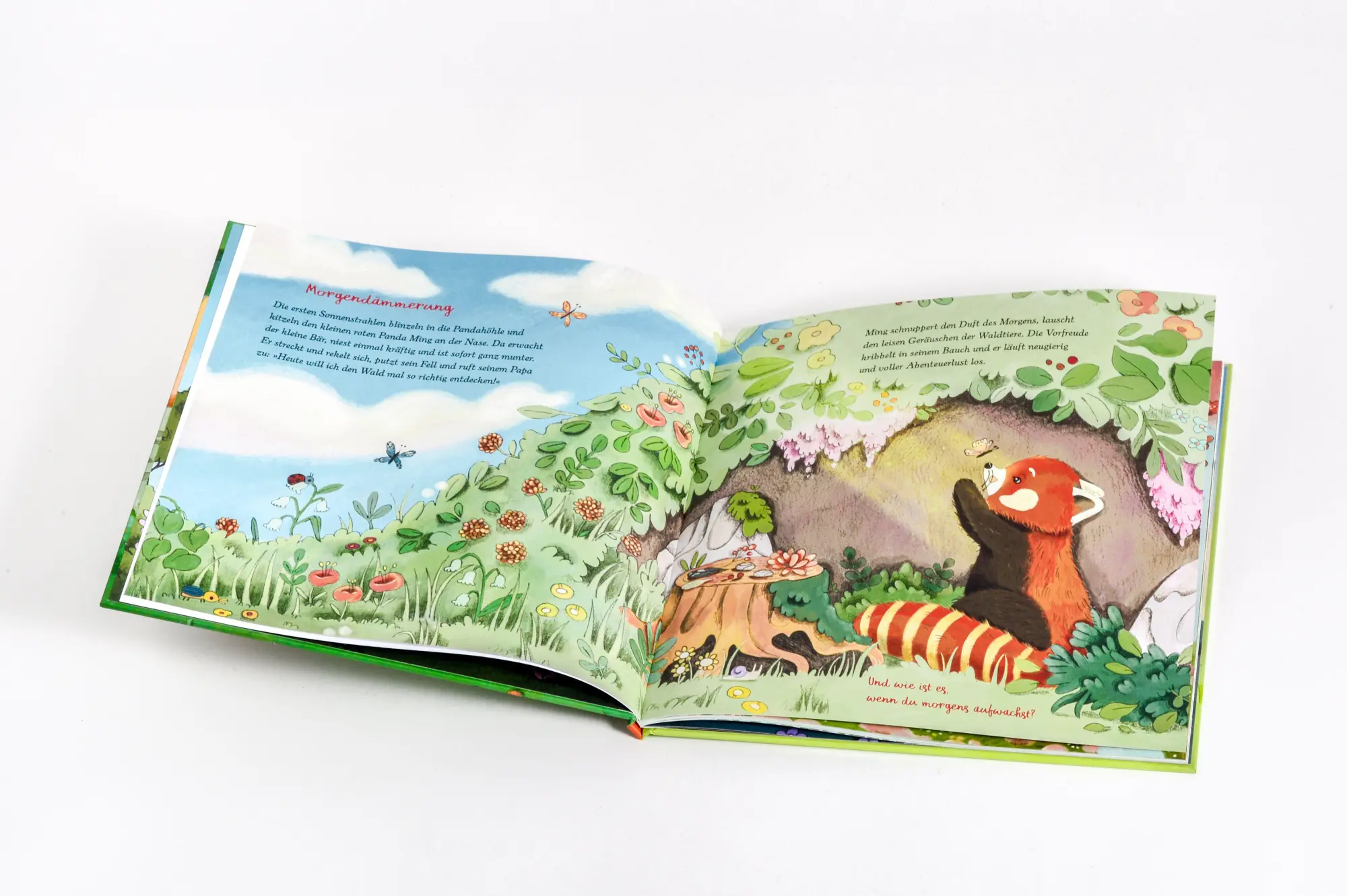 Bild: 9783328304319 | Der kleine rote Panda und die Achtsamkeit | Aljoscha Long (u. a.)