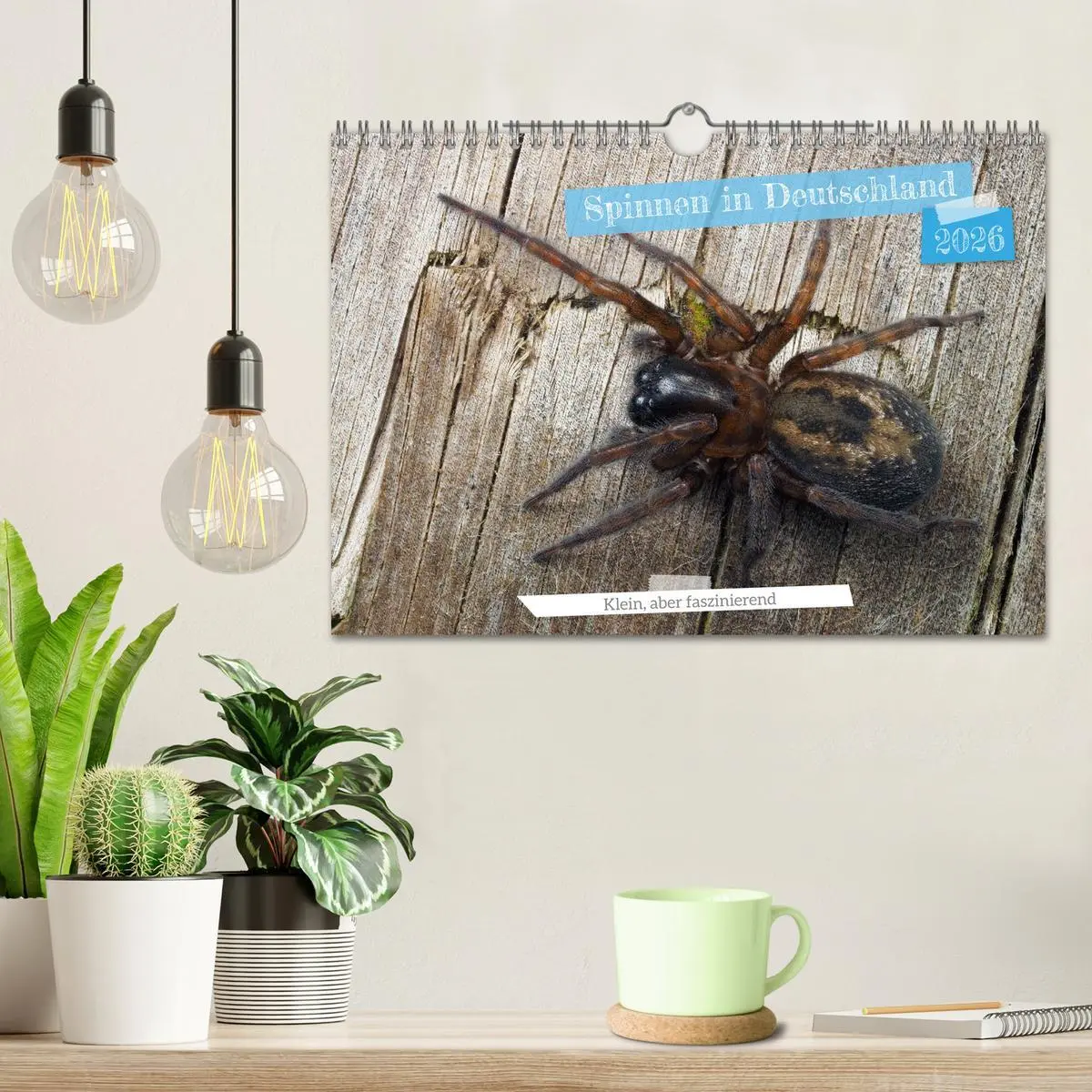Bild: 9783457314319 | Spinnen in Deutschland (Wandkalender 2026 DIN A4 quer), CALVENDO...