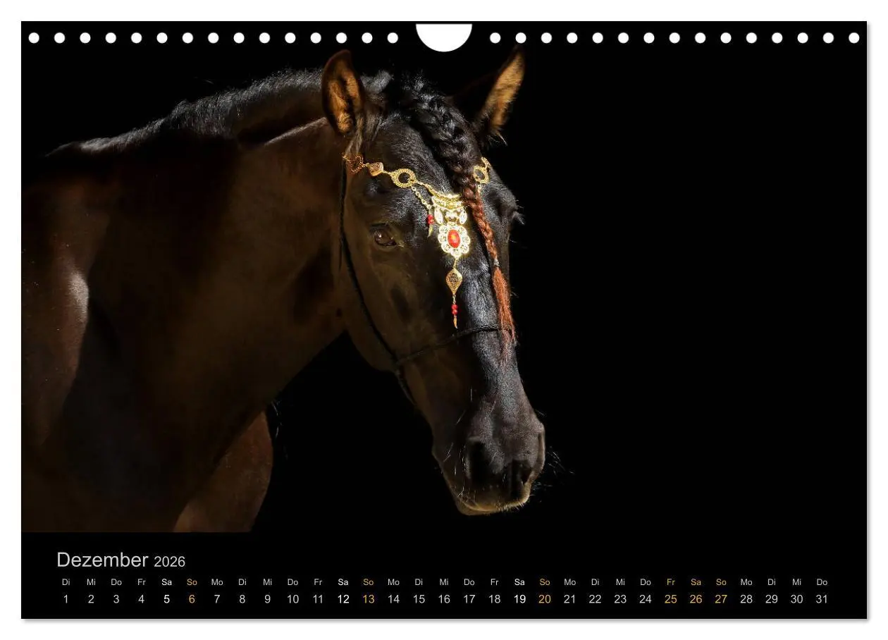 Bild: 9783516024319 | Magische Momente - Pferde Horses Caballos (Wandkalender 2026 DIN A4...