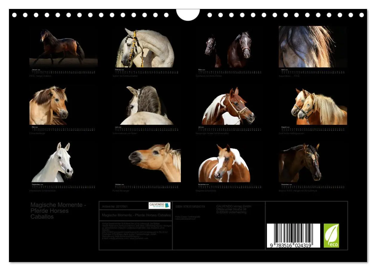 Bild: 9783516024319 | Magische Momente - Pferde Horses Caballos (Wandkalender 2026 DIN A4...