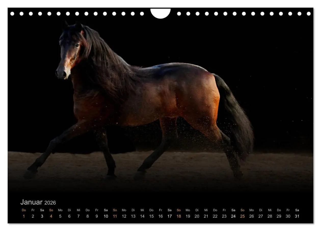 Bild: 9783516024319 | Magische Momente - Pferde Horses Caballos (Wandkalender 2026 DIN A4...