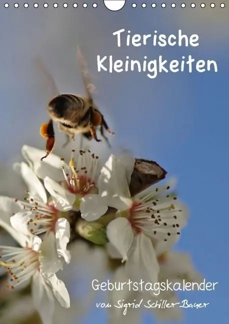 Cover: 9783660024319 | Tierische Kleinigkeiten / Geburtstagskalender (Wandkalender...