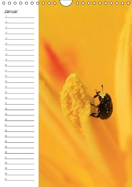 Bild: 9783660024319 | Tierische Kleinigkeiten / Geburtstagskalender (Wandkalender...