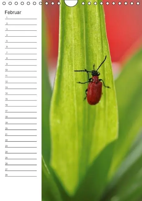 Bild: 9783660024319 | Tierische Kleinigkeiten / Geburtstagskalender (Wandkalender...
