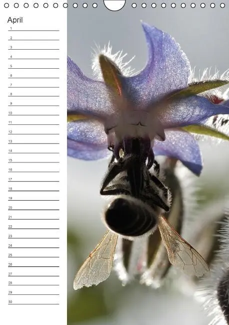 Bild: 9783660024319 | Tierische Kleinigkeiten / Geburtstagskalender (Wandkalender...