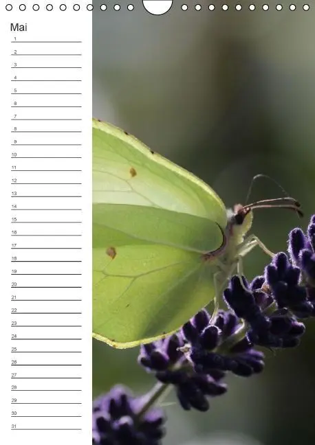 Bild: 9783660024319 | Tierische Kleinigkeiten / Geburtstagskalender (Wandkalender...