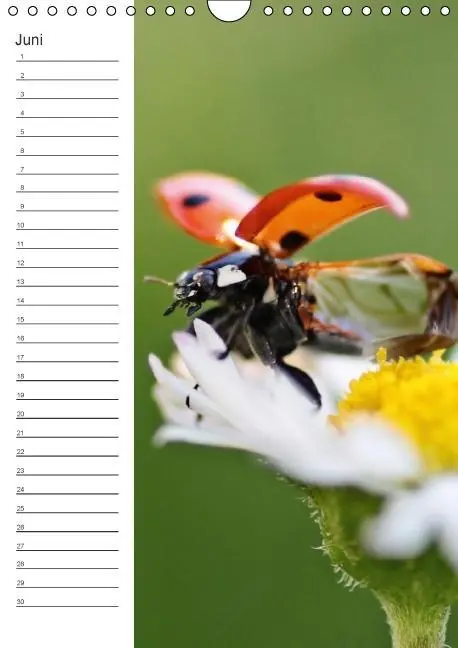 Bild: 9783660024319 | Tierische Kleinigkeiten / Geburtstagskalender (Wandkalender...